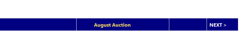 auction_aug23002015.jpg